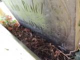 image of grave number 764969